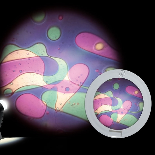 Oliewiel Violet/Groen